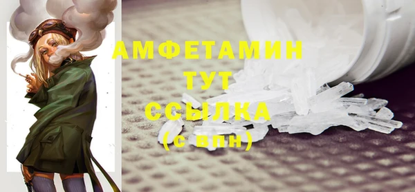 ПСИЛОЦИБИНОВЫЕ ГРИБЫ Вязники
